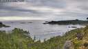 ./images/calvert/foggy-cove/20260826/foggy-cove20260826_091001M.jpg