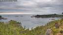 ./images/calvert/foggy-cove/20260826/foggy-cove20260826_093501M.jpg