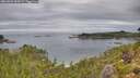 ./images/calvert/foggy-cove/20260826/foggy-cove20260826_100501M.jpg