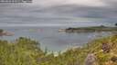 ./images/calvert/foggy-cove/20260826/foggy-cove20260826_101501M.jpg