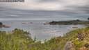 ./images/calvert/foggy-cove/20260826/foggy-cove20260826_102001M.jpg