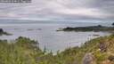 ./images/calvert/foggy-cove/20260826/foggy-cove20260826_104001M.jpg