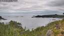 ./images/calvert/foggy-cove/20260826/foggy-cove20260826_105502M.jpg
