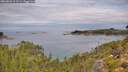 ./images/calvert/foggy-cove/20260826/foggy-cove20260826_112501M.jpg