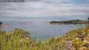 ./images/calvert/foggy-cove/20260826/foggy-cove20260826_113001M.jpg