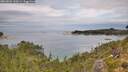 ./images/calvert/foggy-cove/20260826/foggy-cove20260826_120501M.jpg