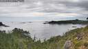 ./images/calvert/foggy-cove/20260826/foggy-cove20260826_130001M.jpg
