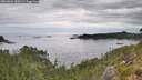 ./images/calvert/foggy-cove/20260826/foggy-cove20260826_130501M.jpg