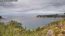 ./images/calvert/foggy-cove/20260826/foggy-cove20260826_132501M.jpg