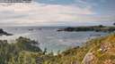 ./images/calvert/foggy-cove/20260826/foggy-cove20260826_172502M.jpg