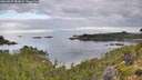 ./images/calvert/foggy-cove/20260827/foggy-cove20260827_081001M.jpg