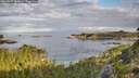 ./images/calvert/foggy-cove/20260827/foggy-cove20260827_083001M.jpg