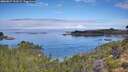 ./images/calvert/foggy-cove/20260827/foggy-cove20260827_101501M.jpg