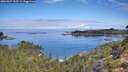 ./images/calvert/foggy-cove/20260827/foggy-cove20260827_102501M.jpg