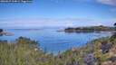 ./images/calvert/foggy-cove/20260827/foggy-cove20260827_104002M.jpg