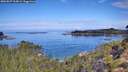 ./images/calvert/foggy-cove/20260827/foggy-cove20260827_104501M.jpg