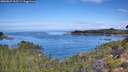 ./images/calvert/foggy-cove/20260827/foggy-cove20260827_105501M.jpg