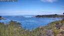 ./images/calvert/foggy-cove/20260827/foggy-cove20260827_110001M.jpg
