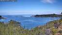 ./images/calvert/foggy-cove/20260827/foggy-cove20260827_110501M.jpg