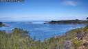 ./images/calvert/foggy-cove/20260827/foggy-cove20260827_111001M.jpg