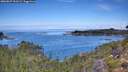 ./images/calvert/foggy-cove/20260827/foggy-cove20260827_111501M.jpg