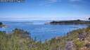 ./images/calvert/foggy-cove/20260827/foggy-cove20260827_112001M.jpg