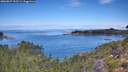 ./images/calvert/foggy-cove/20260827/foggy-cove20260827_112501M.jpg