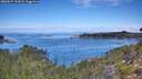 ./images/calvert/foggy-cove/20260827/foggy-cove20260827_113001M.jpg