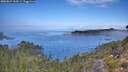 ./images/calvert/foggy-cove/20260827/foggy-cove20260827_113501M.jpg