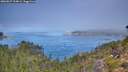 ./images/calvert/foggy-cove/20260827/foggy-cove20260827_114001M.jpg