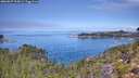 ./images/calvert/foggy-cove/20260827/foggy-cove20260827_115001M.jpg