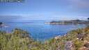./images/calvert/foggy-cove/20260827/foggy-cove20260827_120001M.jpg