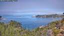 ./images/calvert/foggy-cove/20260827/foggy-cove20260827_120501M.jpg
