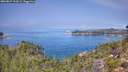 ./images/calvert/foggy-cove/20260827/foggy-cove20260827_122001M.jpg