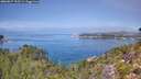 ./images/calvert/foggy-cove/20260827/foggy-cove20260827_122501M.jpg