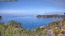 ./images/calvert/foggy-cove/20260827/foggy-cove20260827_123001M.jpg