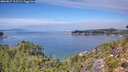./images/calvert/foggy-cove/20260827/foggy-cove20260827_125501M.jpg