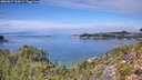 ./images/calvert/foggy-cove/20260827/foggy-cove20260827_130001M.jpg