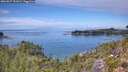 ./images/calvert/foggy-cove/20260827/foggy-cove20260827_131002M.jpg