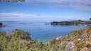 ./images/calvert/foggy-cove/20260827/foggy-cove20260827_132501M.jpg