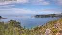 ./images/calvert/foggy-cove/20260827/foggy-cove20260827_150501M.jpg
