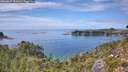 ./images/calvert/foggy-cove/20260827/foggy-cove20260827_151001M.jpg