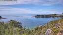 ./images/calvert/foggy-cove/20260827/foggy-cove20260827_151502M.jpg