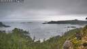 ./images/calvert/foggy-cove/20260828/foggy-cove20260828_084001M.jpg