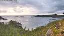 ./images/calvert/foggy-cove/20260828/foggy-cove20260828_091001M.jpg