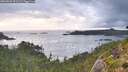 ./images/calvert/foggy-cove/20260828/foggy-cove20260828_091501M.jpg