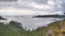 ./images/calvert/foggy-cove/20260828/foggy-cove20260828_092502M.jpg