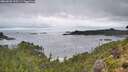./images/calvert/foggy-cove/20260828/foggy-cove20260828_100501M.jpg