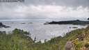 ./images/calvert/foggy-cove/20260828/foggy-cove20260828_101001M.jpg