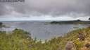 ./images/calvert/foggy-cove/20260828/foggy-cove20260828_111001M.jpg